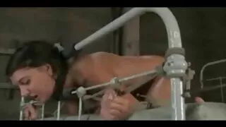 মেয়ে সমকামী, চায়না সেক্স ভিডিও মেয়ে সমকামী